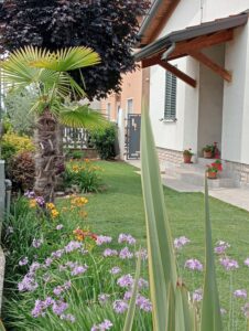 Casa “Il Giardino” di Mazzola Franca